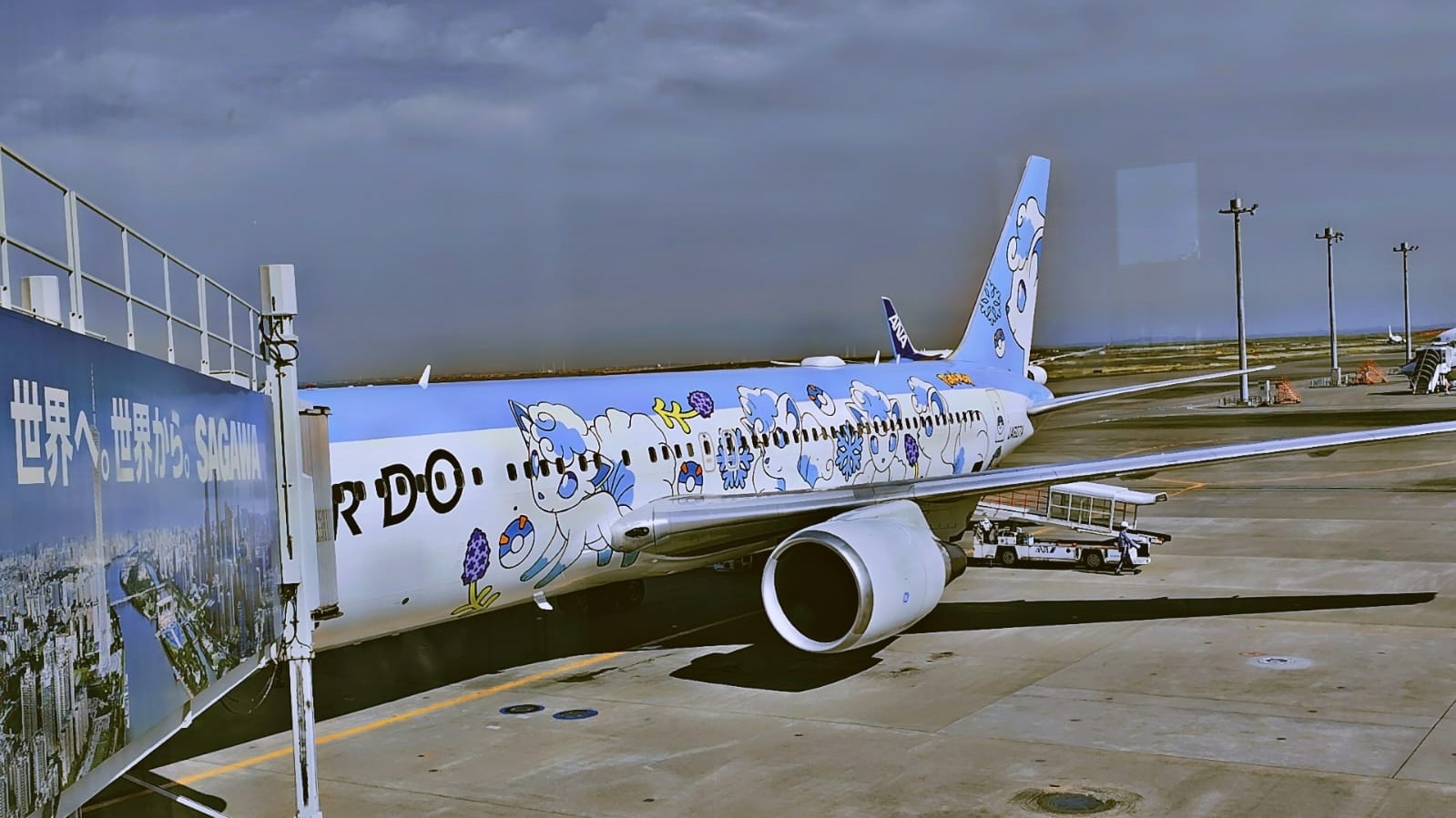 AirDo Flight Picture Airdo Plane Pic